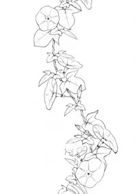 (C92) [Pochi-Goya. (Pochi.)] Ane Naru Mono 5 (Ane Naru Mono) [Chinese] [無邪気漢化組]