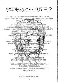 (C71) [RED RIBBON REVENGER (Makoushi)] Kuroneko no Gotoshi!? 1.5＋α (Black Cat)