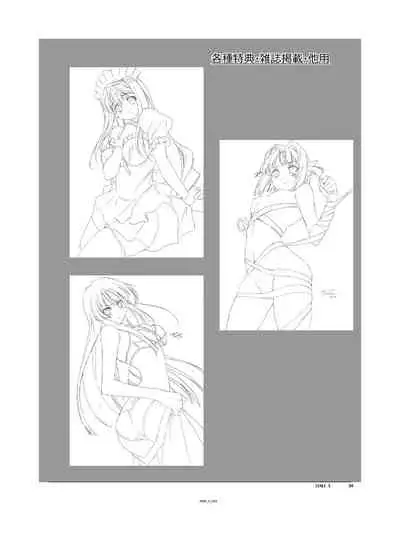 (C94) [Orichalcum K2 (Tsunashima Shirou, Kao)] Jinki X (Jinki)