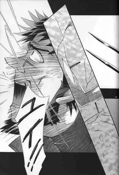 <Shinyaku> NEON GENESIS document R