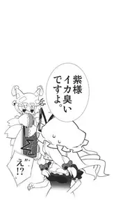 (Reitaisai 8) [TUKIBUTO (Hyouju Issei)] HI-Sneak at night (Touhou Project)