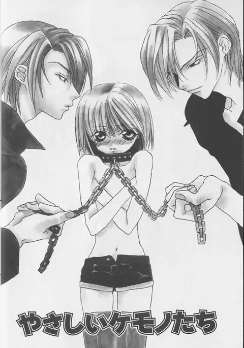 Himitsu No Kemonotachi