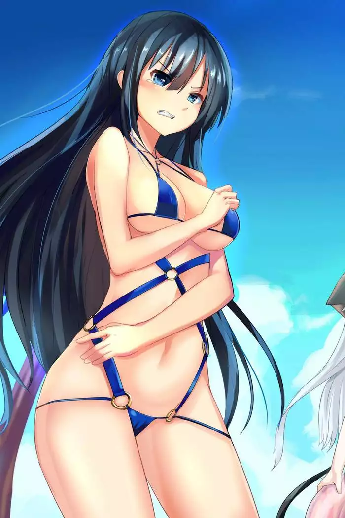 Himekishi ga Classmate! 2 | 공주 기사가 동급생! 2권]