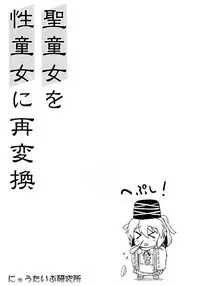 (C81) [Newtype Kenkyuujo (Kotowari)] Seidoujo o Seidoujo ni Saihenkan (Touhou Project)