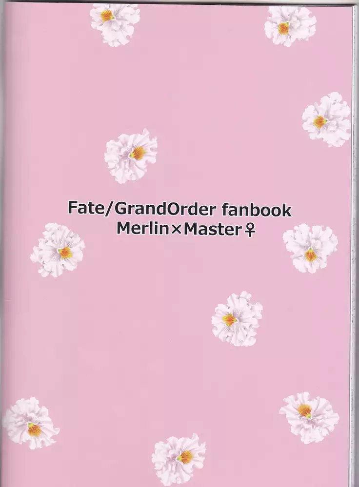 Master wa Attakai no ga Suki