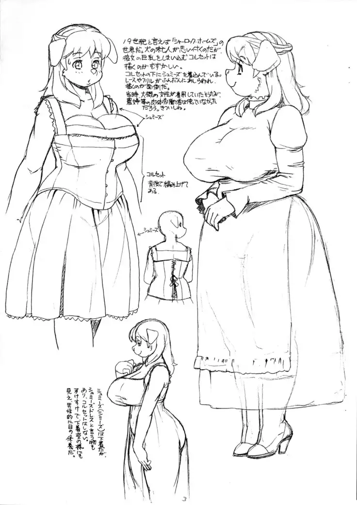 Minami no Niji no Fushigi na Daisogenhe no Michi