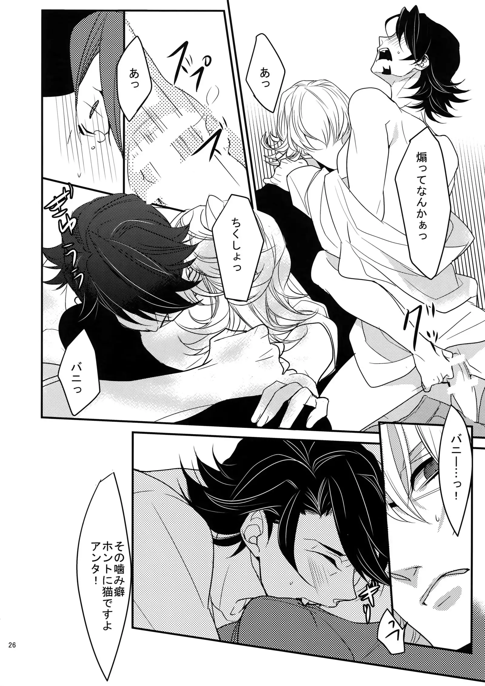 BOROZS Usagi Tora Sairoku