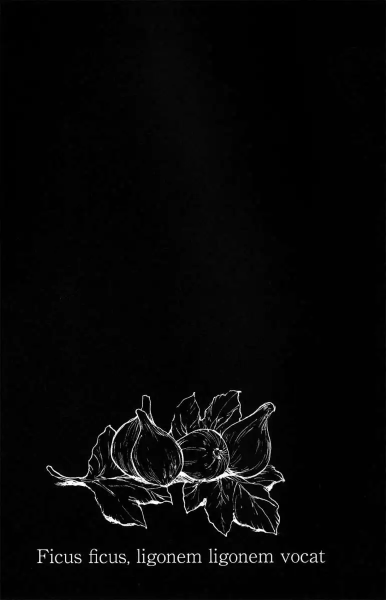 Ficus²