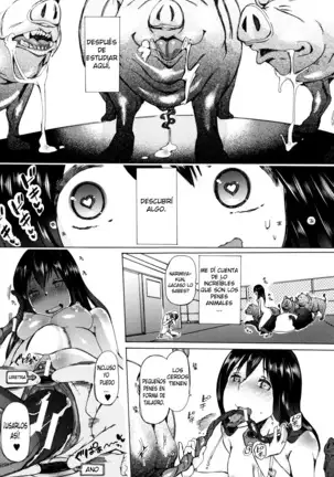 Juukan Kyoushitsu - ***** Class