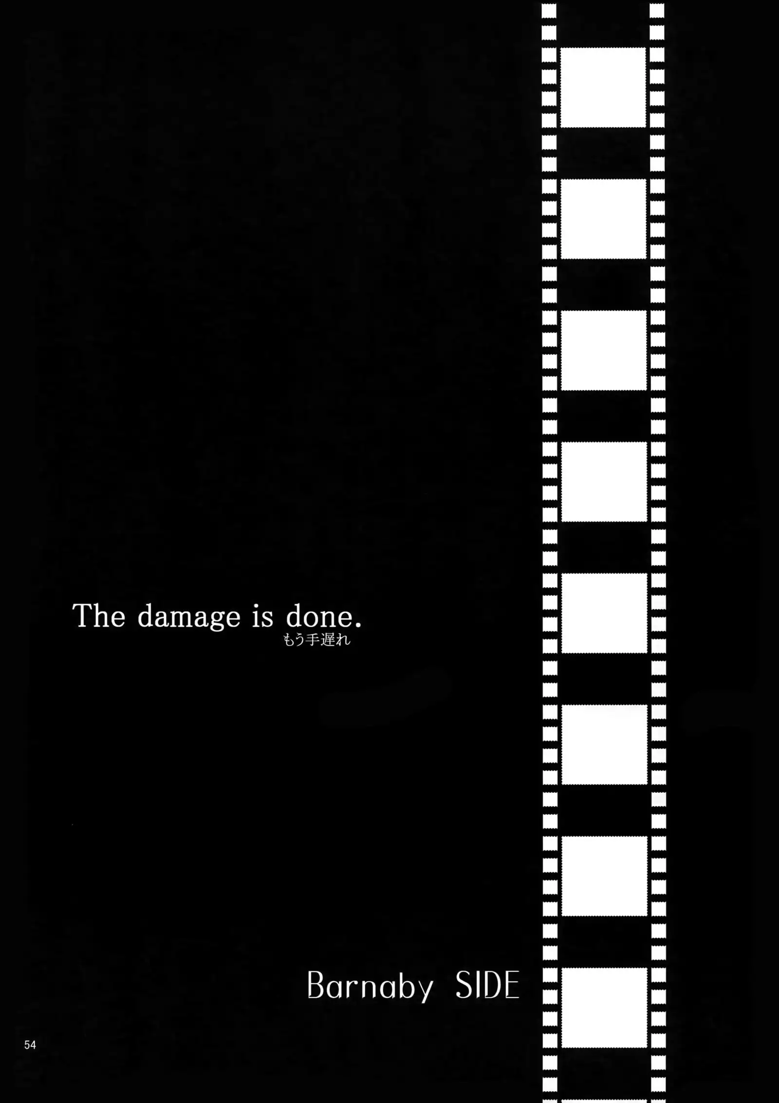 BOROZS Usagi Tora Sairoku