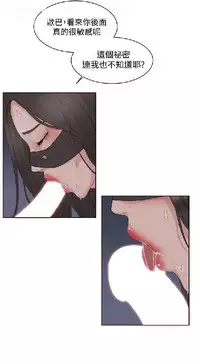 私生,爱到疯狂 完结