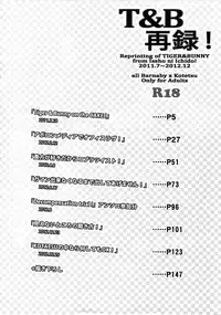 (C88) [Isshou ni Ichido! (Mokkori)] T&B Sairoku! (TIGER & BUNNY)