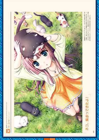 Daitoshokan no Hitsujikai Visual Fan Book Houkago Shippo Days & Dreaming Sheep Visual Fan Book