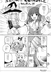 (C74) [Shoujo Zukin (Hatomugi Munmun)] Marecollect (Touhou Project)