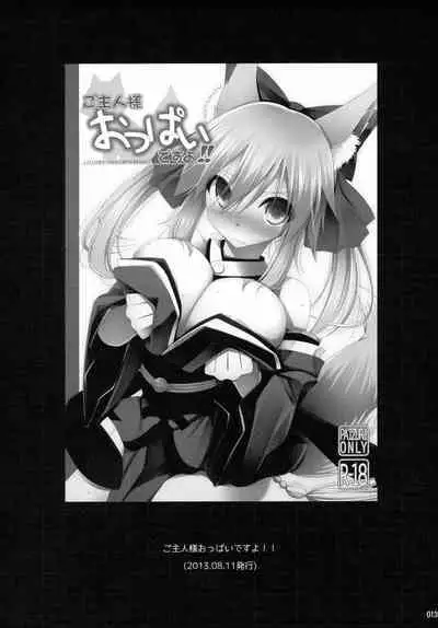 (C92) [TOYBOX, Kujira Logic (Kurikara, Kujiran)] Gosyujin-sama Oppai desuyo!! Soushuuhen (Fate/Extra)