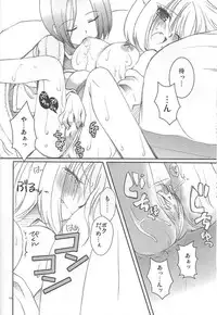 (C73) [chaotic_prism (Asato)] Fuusui Inoshishi (Final Fantasy XI)