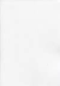 (C86) [Type-G, Studio Himawari (Himukai Kyousuke, Ishigaki Takashi)] UNISON [Lyrical ☆ Nanoha Goudoushi] (Mahou Shoujo Lyrical Nanoha) [Chinese] [无毒汉化组]