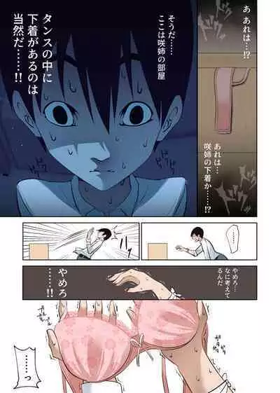 Boku Dake no Saki-nee Datta noni...