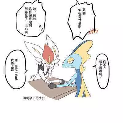 |宝可梦的故事（呜鸟木个人汉化组）