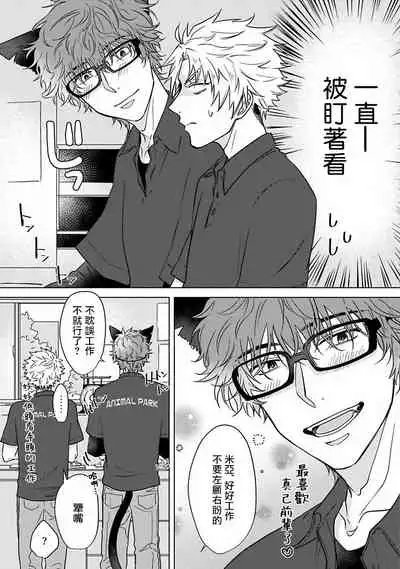 Fukurou no Koiwazurai | 猫头鹰的相思病