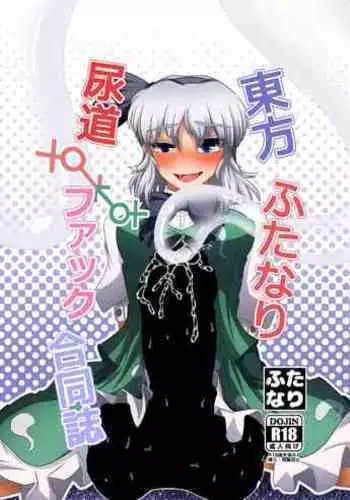 [Nuigurumiya-san (Various)] Touhou Futanari Nyoudou Fuck Goudoushi (Touhou Project) [Digital]