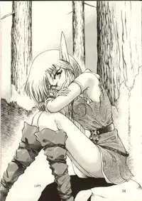 [Waku Waku Doubutsuen, Neko Apron (Various)] DIEDLIT 2 (Record of Lodoss War)