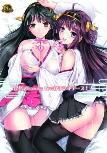 Teitoku no Burning Love ga Hoshii desu!