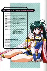 [Visual Fanbook][F&C] きゃんきゃんバニー プルミエール２攻略&設定資料集