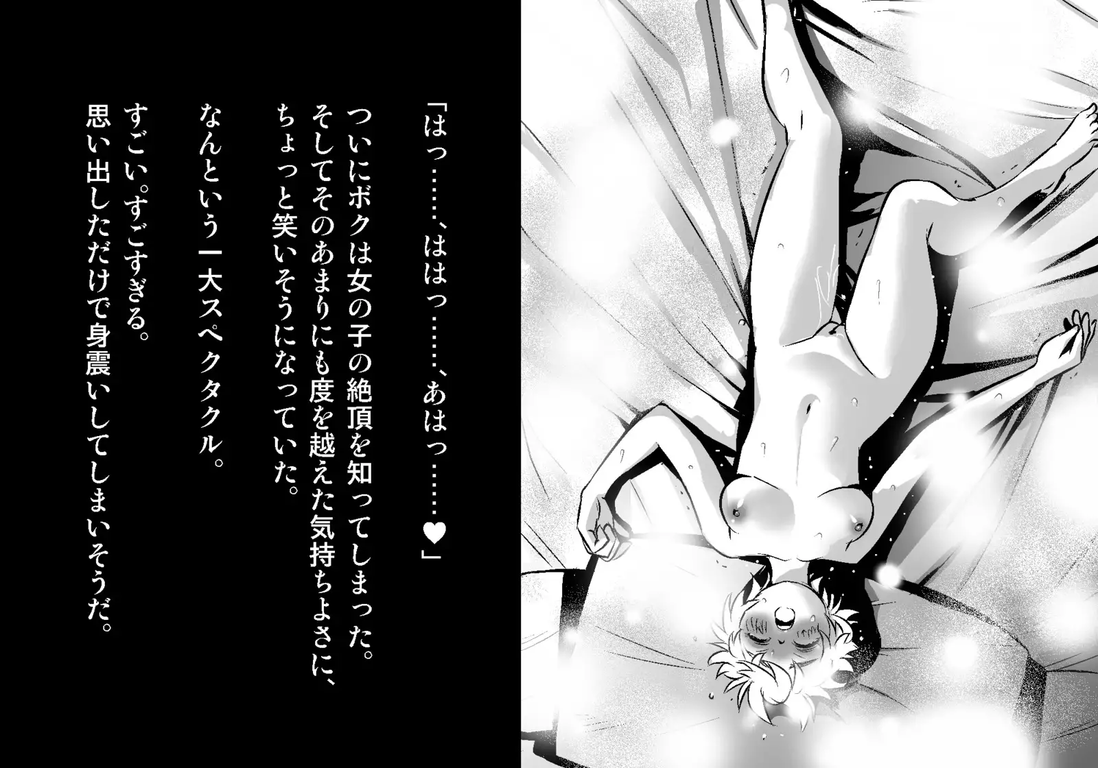 フェアリーセティ