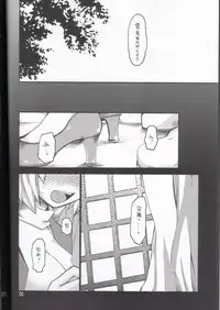 (C69) [Seinansei ni Kagayakeru Hoshi (Morino Papiko)] Ragnarok Yawa Level.7 (Ragnarok Online)