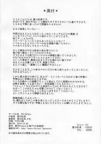 (C79) [Gainamon (Natsu no Koucha, Yamu)] Koakuma-teki Mikakunin Shoujo (Touhou Project)