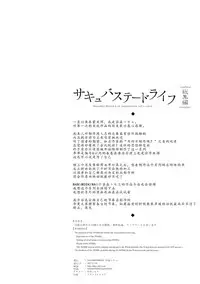 [NANIMOSHINAI (Sasamori Tomoe)] Succubus Stayed Life Soushuuhen [Chinese] [kun个人汉化] [Incomplete]