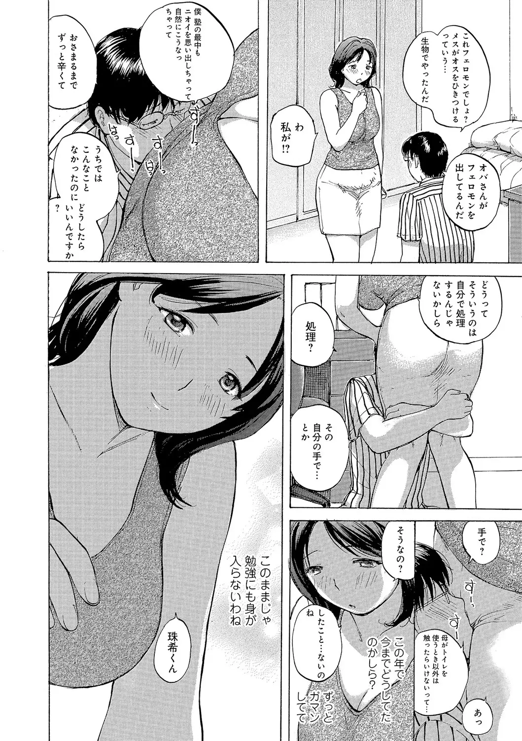 Oku-san wa Hametagari