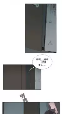 私生,爱到疯狂 完结