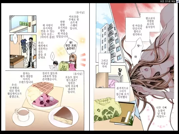 Naisho no Love Mariage | 비밀의 결혼