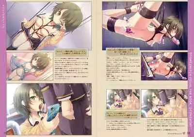 オトメスイッチビジュアルファンブック OTOMEMORY ~オトメモリー~