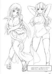 (C85) [Lagrangian-Point (Akatuki Tetora)] Hime-sama Shiki Usagi no Shitsuke (Touhou Project)