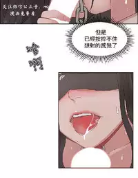 私生,爱到疯狂 完结