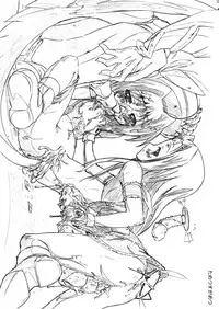 (C78) [PHYSALIS (Seresu & Kuronei)] Suikan Versus (Mahou Shoujo Lyrical Nanoha)