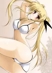 (C83) [HATENA-BOX (Oda Kenichi)] Double Heroine (Mahou Shoujo Lyrical Nanoha)