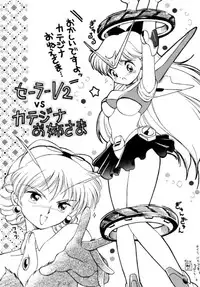 (C45) [UROBOROS (Various)] PARASELENE (Bishoujo Senshi Sailor Moon)