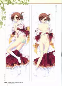 Kimi wo Aogi Otome wa Hime ni Visual Fan Book