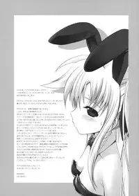 (C74) [40010 1-GO (40010Prototype)] Fate-chan ha Yappari Shiawase (Mahou Shoujo Lyrical Nanoha)