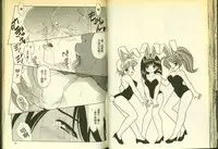 草莓100分 5