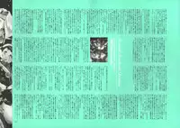 [Nishieda] Dendrobium