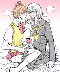 [Omaru] P4 Partner Log Collection 4