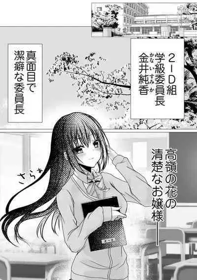 Bocchi no Boku demo, Kuzu no Yarichin ni Nareru tte Honto desu ka?