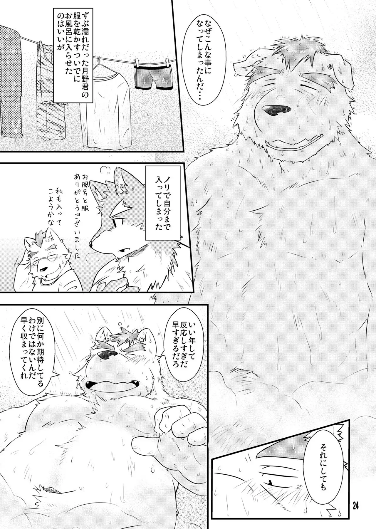 Shiroi Koibito