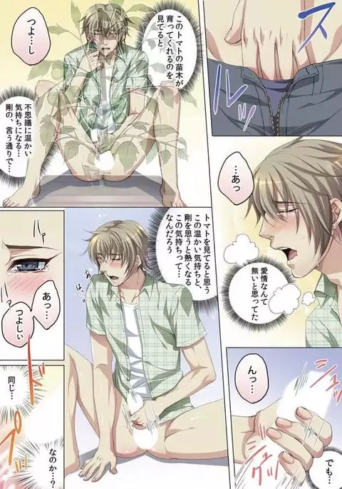 Celeb, Kai Hajimemashita ~Tomato Kareshi no Tsukurikata~