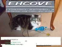 (Chou Manzoku) [Soraironoenogu (Kanei Yoh)] Datte Kemono da mono. (Yu-Gi-Oh 5D's) [English] [EHCOVE]